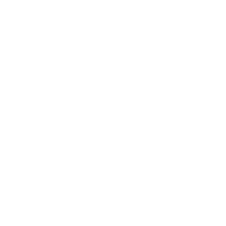 Niche Script Icon